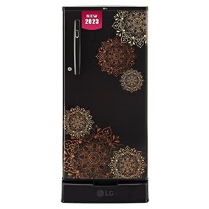 LG 185 L 4 Star Inverter Direct-Cool Single Door Refrigerator (GL-D199OERY, Ebony Regal, Base stand with drawer)